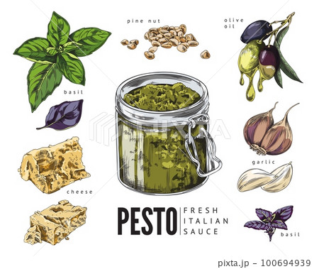 Italian pesto food dressing ingredients sketch vector illustration isolated. 100694939