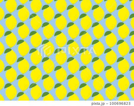 レモンB2 100696823