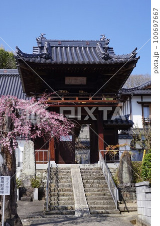 岡山県津山市林田にある日蓮宗のお寺「蓮光寺」:春の風景 岡山県津山市林田にある日蓮宗のお寺「蓮光寺」:春の風景 100697667