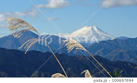 中秋の高尾山 ススキと富士山 中秋の高尾山 ススキと富士山 100697694