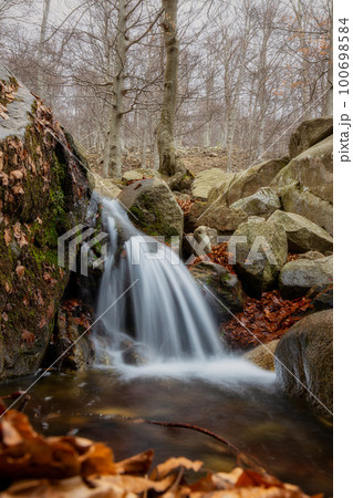 Beautiful small veil cascading waterfall, mossy rocks 100698584