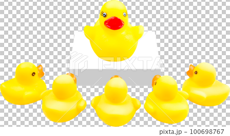 toy duck on the podium 100698767