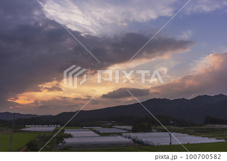 220720上野平z002 100700582