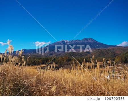 開田高原 ススキの国道361号線から御嶽山を望む 開田高原 ススキの国道361号線から御嶽山を望む 100700583