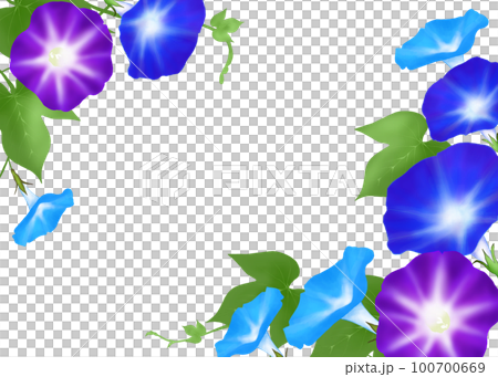 morning glory frame 100700669