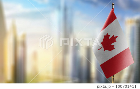 Small flags of the Canada on an abstract blurry background 100701411