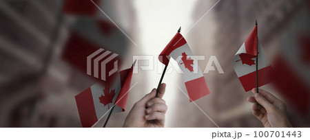 A group of people holding small flags of the Canada in their hands 100701443