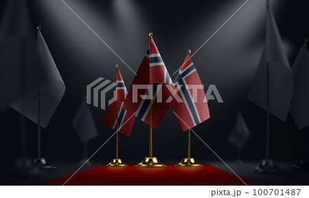 The Norway national flag on the red carpet The Norway national flag on the red carpet 100701487