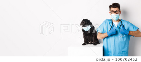 Small black pug dog in medical mask looking left at copy space while doctor veterinarian showing thumbs up in praise and approval, white background 100702452