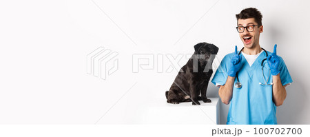 Cheerful handsome veteriantian in scrubs staring happy at cute little dog pug and smiling, pointing fingers up at promo offer, white background 100702700