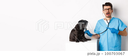 Sad male vet doctor examining cute little dog pug with stethoscope, pointing at pet and crying, standing over white background 100703067