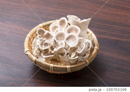 うすひらたけ　薄平茸　平茸　食用きのこ　ウスヒラタケ　ひらたけ　健康食材　 100703106