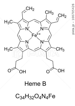 Diagnose forbrydelse mammal Heme B, haem B, or protoheme IX, chemical...のイラスト素材 [100705426] - PIXTA