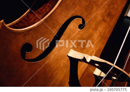 Close-up of f-hole and bridge of a cello musical instrument 100705775