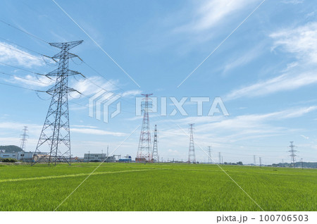 水田と高圧送電網 水田と高圧送電網 100706503