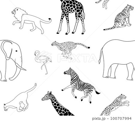 Vector seamless pattern of african wild animals 100707994