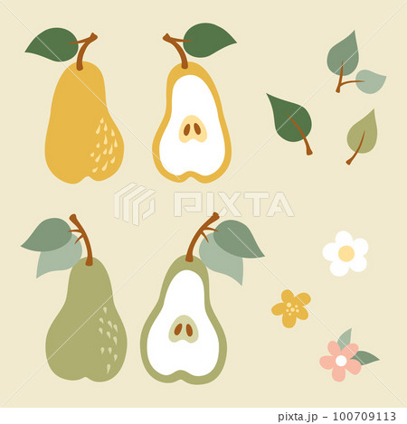 Pears, flowers and leaves. Set of spring and summer elements in flat style. Vector illustration Pears, flowers and leaves. Set of spring and summer elements in flat style. Vector illustration 100709113