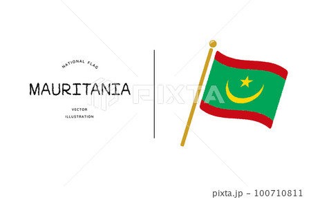 モーリタニアの国旗アイコン ベクターイラスト 100710811