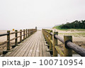 砂浜 100710954