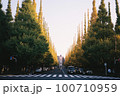 紅葉 100710959