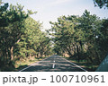道路 100710961