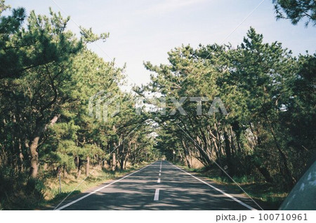 道路 100710961