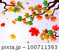 Autumn leaves of maple tree and blue sky background. Tree vector collection 100711363