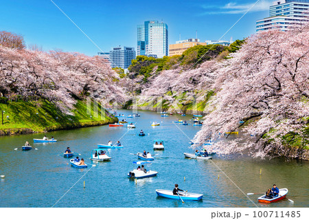 東京 千鳥ヶ淵の桜 東京 千鳥ヶ淵の桜 100711485