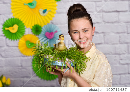 easter composition. A small duckling on sprouted wheat in the hands of a cute beautiful girl. easter composition. A small duckling on sprouted wheat in the hands of a cute beautiful girl. 100711487
