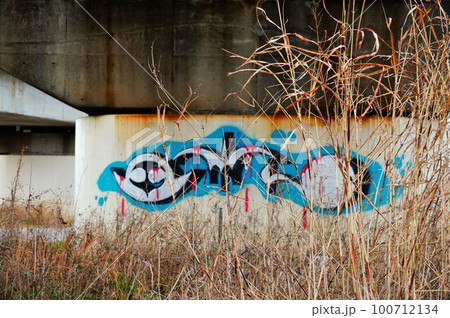 橋脚にスプレー缶で書かれた落書き 100712134