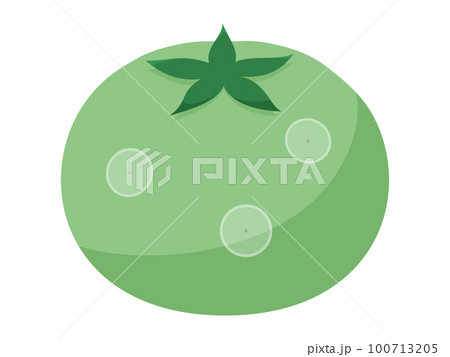 灰色かび病のトマト_ゴーストスポット 100713205