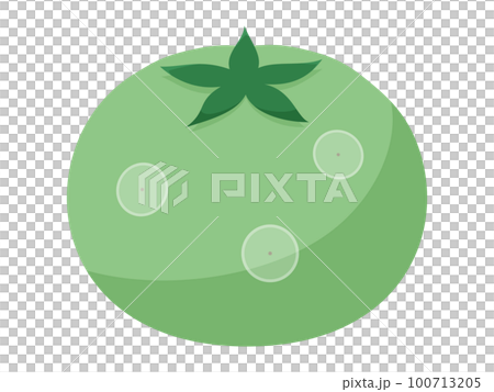 灰色かび病のトマト_ゴーストスポット 100713205