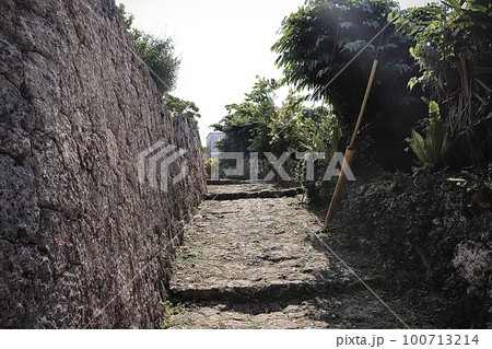 首里金城の大アカギ通り 100713214