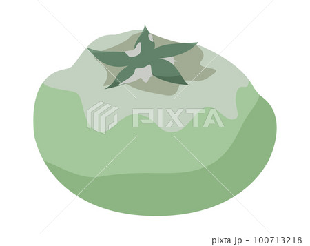 灰色かび病のトマト 100713218