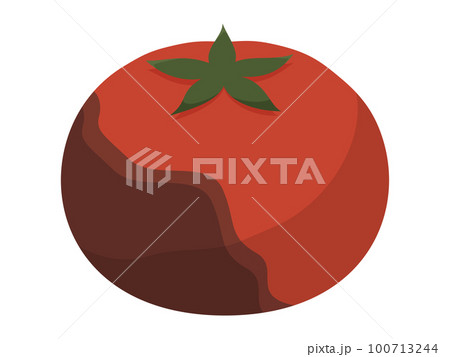 病気になったトマトのイラスト 100713244
