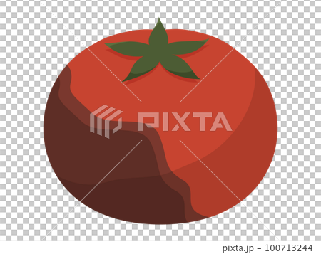 Illustration of a sick tomato 100713244