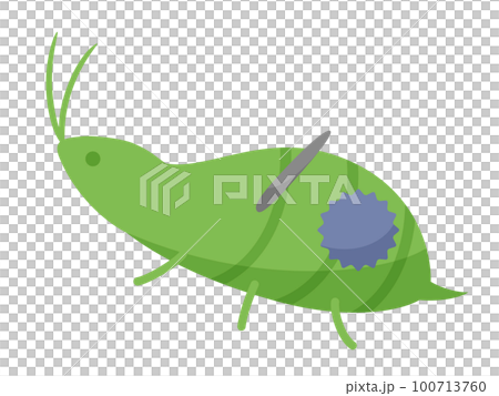 ウイルスを運ぶアブラムシのイラスト ウイルスを運ぶアブラムシのイラスト 100713760