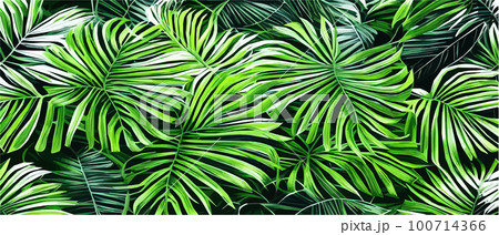 Vector illustration horizontal tropical leaves banners. Exotic botanical design cosmetics,  100714366