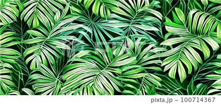 Vector illustration horizontal tropical leaves banners. Exotic botanical design cosmetics, Vector illustration horizontal tropical leaves banners. Exotic botanical design cosmetics, 100714367