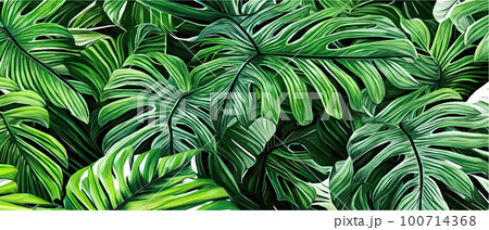Vector illustration horizontal tropical leaves banners. Exotic botanical design cosmetics, Vector illustration horizontal tropical leaves banners. Exotic botanical design cosmetics, 100714368