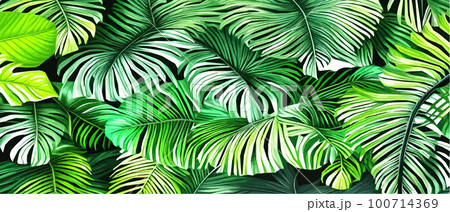 Vector illustration horizontal tropical leaves banners. Exotic botanical design cosmetics,  100714369