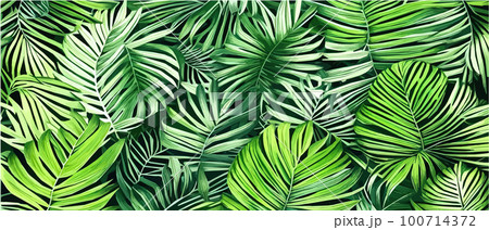 Vector illustration horizontal tropical leaves banners. Exotic botanical design cosmetics,  100714372