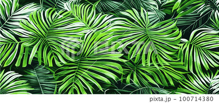 Vector illustration horizontal tropical leaves banners. Exotic botanical design cosmetics,  100714380