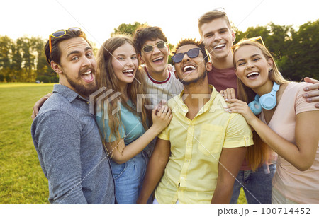 Portrait of six happy carefree multiracial young male and female friends in park on sunny day. 100714452