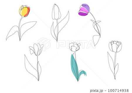 Set beautiful blossoming tulip flower in continuous line art drawing style. Minimalist black linear sketch isolated on white background. Vector illustration. Set beautiful blossoming tulip flower in continuous line art drawing style. Minimalist black linear sketch isolated on white background. Vector illustration. 100714938
