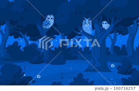 Night forest landscape with owls sitting on tree branches, vector illustration. 100716257