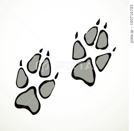 Dog foot print. Vector drawing Dog foot print. Vector drawing 100716785