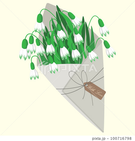 Paper envelope with snowdrop flowers on a white background. Floral background, card, spring illustration, vector 100716798