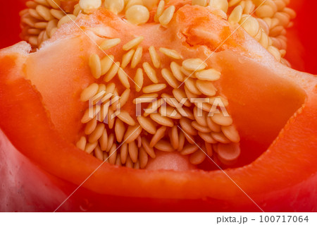 red pepper isolated red pepper isolated 100717064