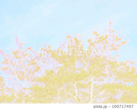 桜の木。イラスト風の写真。	 100717407
